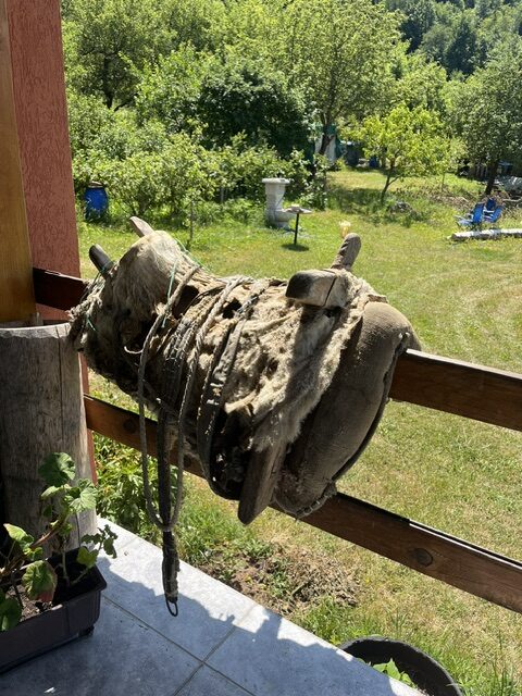 apartmani-vasilic-05