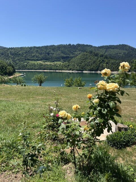 apartmani-vasilic-08