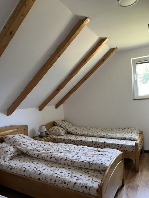 apartmani-vasilic-12